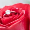 赤いバラと婚約指輪